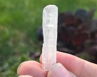 May include: A white selenite crystal, also known as a selenite wand, with a smooth, striated surface. The crystal is about 5 cm long and is held in a hand.