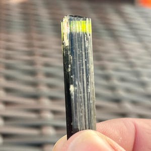 May include: A close-up of a tourmaline crystal. The crystal is a dark, almost black color with a bright yellow and green top. The crystal is held in a person's hand.