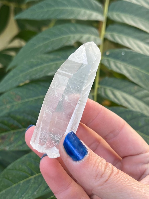 レムリアンシードクォーツ原石（ミナスジェライス州産） 幻の激レア産地の神秘！！ ブラジル・ミナスジェライス州