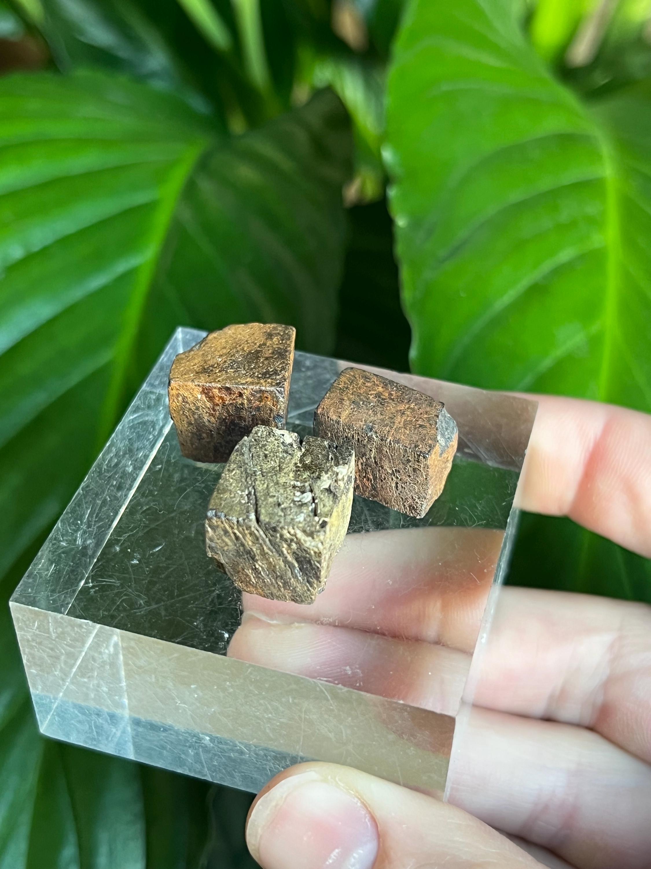 モロッコ産天然立方晶リモナイト（黄鉄鉱後）擬似結晶キューブ | 天然 