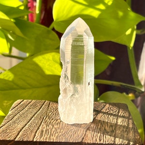 Free Standing Lemurian Seed Crystal from Brazil | Raw Lemurian Quartz Point, Natural Akashic Record Keeper, Diamantina Crystal