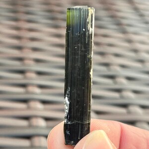 May include: A dark green tourmaline crystal with a vertical orientation. The crystal has a columnar structure with visible striations and a slight translucence, with a lighter green hue at the top. A small, white inclusion is visible on the side.