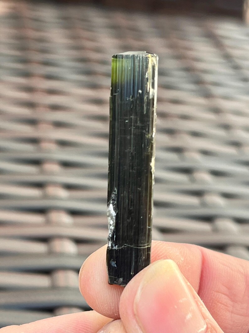 May include: A dark green tourmaline crystal with a vertical orientation. The crystal has a columnar structure with visible striations and a slight translucence, with a lighter green hue at the top. A small, white inclusion is visible on the side.