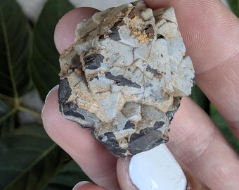 Raw Octahedral Magnetite with Quartz Chalcedony Coating | Iron Springs, Utah Mineral Specimen