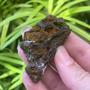 Rainbow Iridescent Turgite Specimen | Colorful Goethite & Hematite with Quartz, Botryoidal Turgite from Ojuela Mine, Mexico
