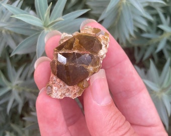 Deep Green Golden Mali Garnet Crystal Cluster | Raw Grossular Andradite Garnet Specimen from Kayes, Mali | Rich Color & High Luster