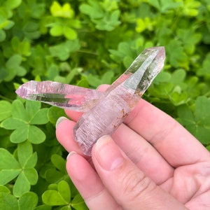 May include: Two clear, pointed amethyst crystals with a light purple hue. The crystals are held in a hand against a background of green foliage.