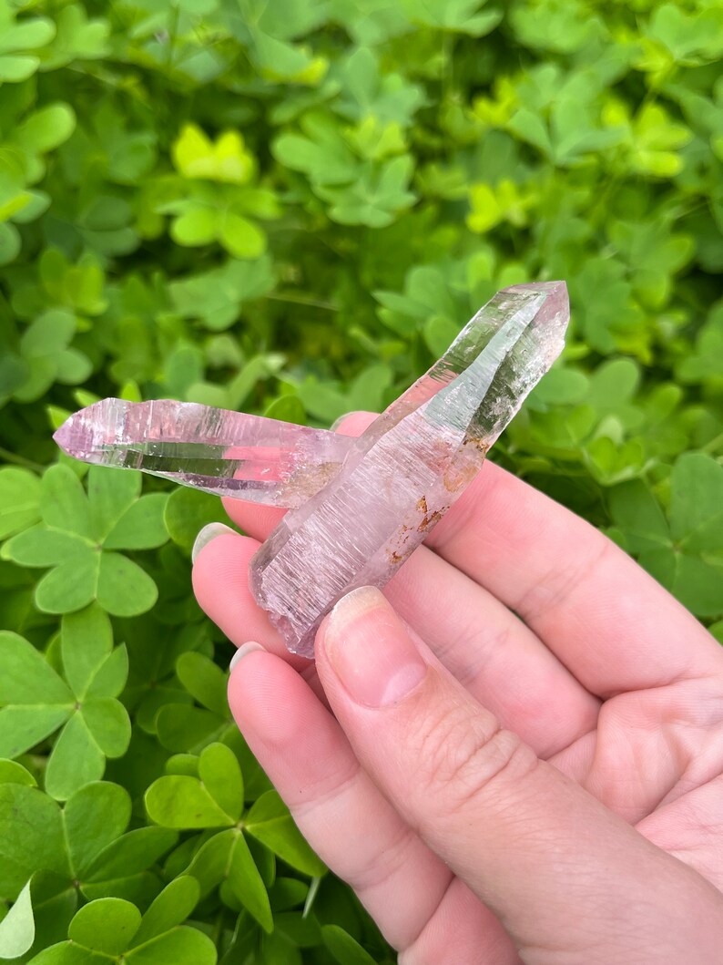 May include: Two clear, pointed amethyst crystals with a light purple hue. The crystals are held in a hand against a background of green foliage.