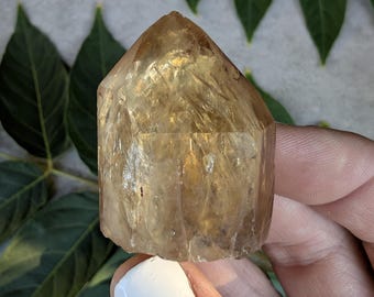 Raw Congo Citrine Point from Lwena | Untreated Solar Plexus Healing Specimen