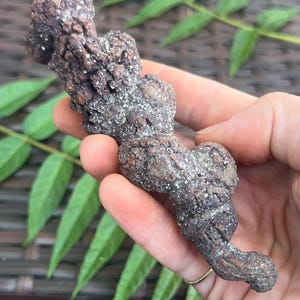 Coprolito fosilizado de Madagascar (136 g): excrementos de dinosaurio reales, heces de dinosaurio petrificadas, espécimen fósil jurásico.