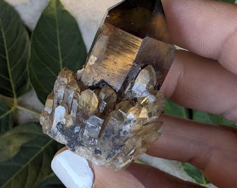 Raw Dark Smoky Kundalini Citrine Point | High Vibration Root Chakra Specimen