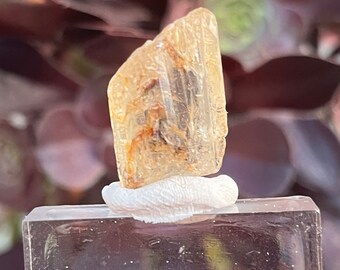 Raw Golden Yellow Scapolite Crystal from Tanzania | Translucent Loose Gemstone, Healing Stone, Crystal Grid, Fluorescent Pink
