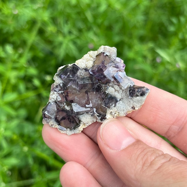 Purple Phantom Fluorite Specimen from Yindu Mine, Inner Mongolia | Beautiful Clear Cubic Fluorite Crystal Cluster on Matrix