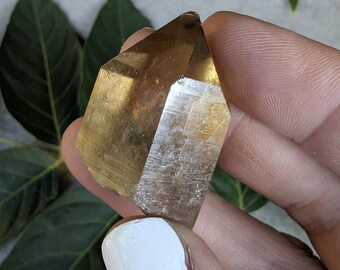 Raw Congo Citrine Point from Lwena | Untreated Solar Plexus Healing Specimen