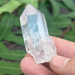 Raw Lemurian Seed Crystal Point: Minas Gerais Brazil