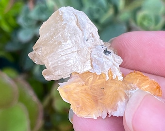Seltener Cerussit Kristall mit Baryt: Fluoreszierendes Heilstein aus Marokko