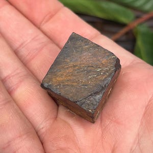 Puede incluir: Un pequeño trozo rectangular de piedra preciosa de ojo de tigre en bruto. La piedra muestra una mezcla de bandas marrón oscuro y marrón dorado, con una textura natural rugosa. La gema se sostiene en una mano abierta, con follaje verde en el fondo.