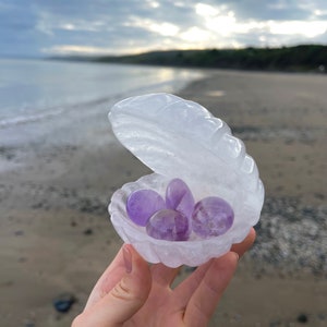 Reserva anticipada de una concha marina de cristal de cuarzo transparente de alta calidad.