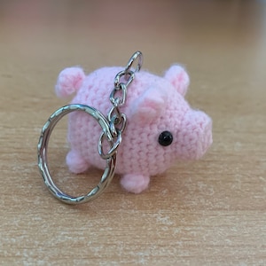 Mini Pig