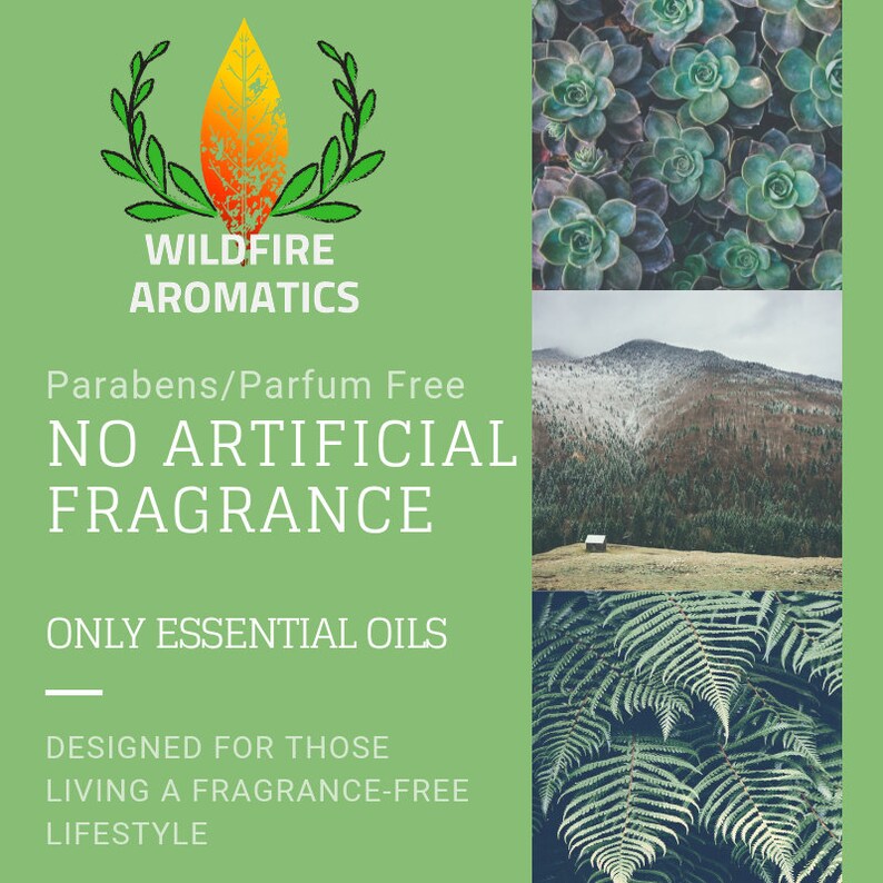 Shower Steamer Eucalyptus 5 2oz Tab Pack Sinus Eucalyptus Etsy Canada