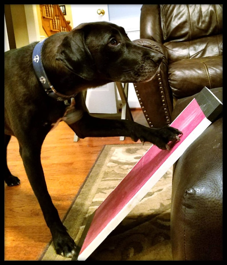 ScratchPad™ Dog Nail File Scratch Board DoItThemselves Etsy