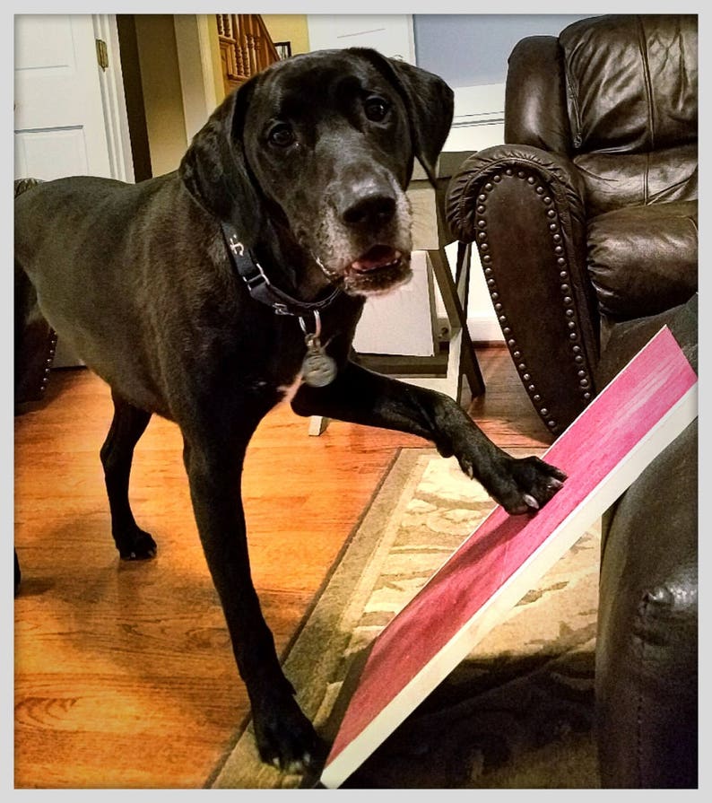 scratch pad dog scratch pad dog