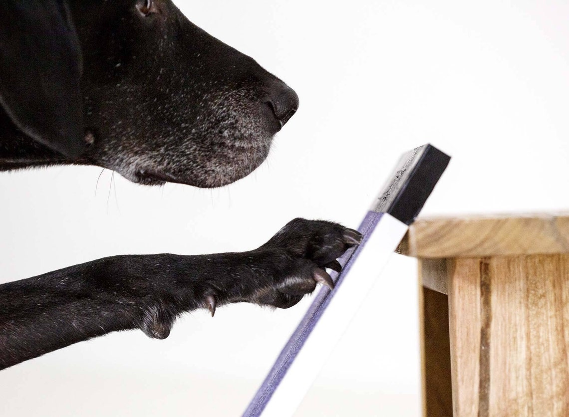 REFILL ONLY Scratchpad Refill Pack to Refill Your Current Etsy