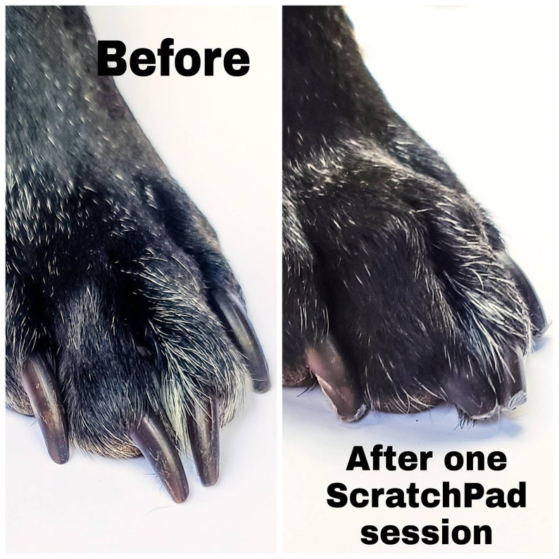 SALE The Original ScratchPad® Dog Nail File Scratch Board Do-It-Themselves Nail Care FREE PRIORITY Shipping Fear Free Nail Care image 3