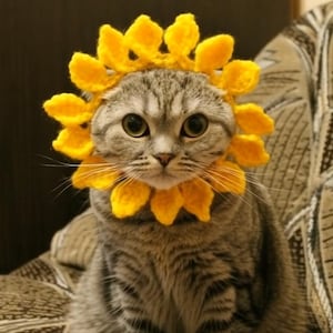 May include: A gray tabby cat wearing a yellow crocheted sunflower collar, sitting on a patterned couch. The cat has large, round eyes and a curious expression. The sunflower collar is made of yellow yarn and frames the cat's face.