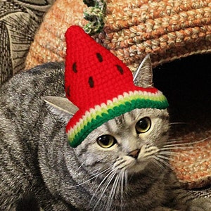 Watermelon Hat Cat Crochet Pattern/ Party watermelon Hat for Cat, small Dog and others/ Summer hat cat crochet pattern