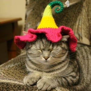 May include: A grey tabby cat wearing a vibrant, handmade crochet hat. The hat has a bright pink brim, a yellow middle section, and a green, curled top. The cat is seated on a patterned cushion with its eyes closed.