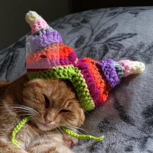 May include: A ginger cat wearing a colorful, crocheted hat with a spiral design. The hat features shades of pink, orange, green, and purple. The cat is lying on a gray patterned blanket, with the word "PATTERN" in white letters on the left.