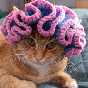 May include: An orange tabby cat wearing a handmade crochet hat in shades of pink and blue. The cat is lying on a teal quilted blanket. The hat has a ruffled design. The cat is looking directly at the camera.