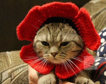 Cat Flower Headband pattern/ Cat Flower hat no sew crochet pattern/ Small dog Flower hat crochet pattern