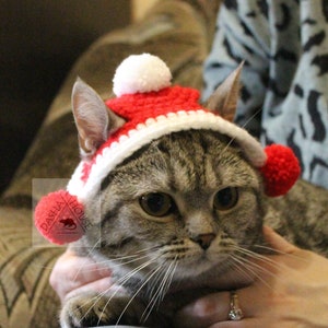 Könnte beinhalten: Eine graue Tabby-Katze trägt eine rot-weiße gehäkelte Weihnachtsmütze mit weißen Bommeln. Die Katze sitzt auf dem Schoß einer Person. Das Wort "PATTERN" ist in roten Buchstaben am unteren Rand des Bildes geschrieben.