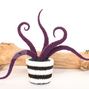 Op de afbeelding: Een paarse gehaakte plant met gekrulde ranken in een zwart-wit gestreepte pot. De plant staat op een stuk drijfhout.