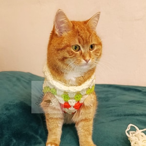 Crochet Cat Sweater Pattern/Dog coat/ Pet clothes/ PDF Download