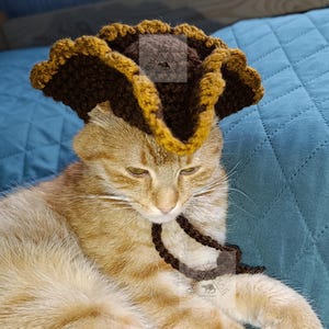 Könnte beinhalten: Eine rot getigerte Katze trägt einen handgefertigten Piratenhut aus braunem und goldenem Häkelgarn mit passendem Halstuch. Die Katze liegt auf einer gesteppten, teal-farbenen Decke. Das Wort "PATTERN" steht vertikal in weißen Buchstaben.