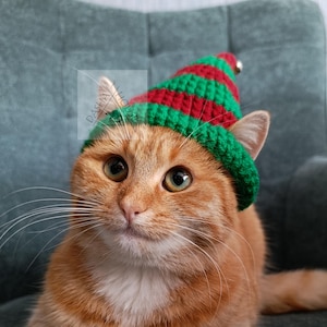 Puede incluir: Un gato atigrado naranja con un gorro de elfo a rayas verdes, rojas y blancas con una pequeña campana plateada. El gato está sentado en una silla tapizada de color verde azulado. El gato tiene ojos verdes y largos bigotes blancos.