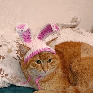 May include: An orange tabby cat wearing a handmade crochet bunny hat with pink and white details. The cat is lying on a teal blanket with a floral patterned pillow behind it. The word "PATTERN" is written vertically on the left side.