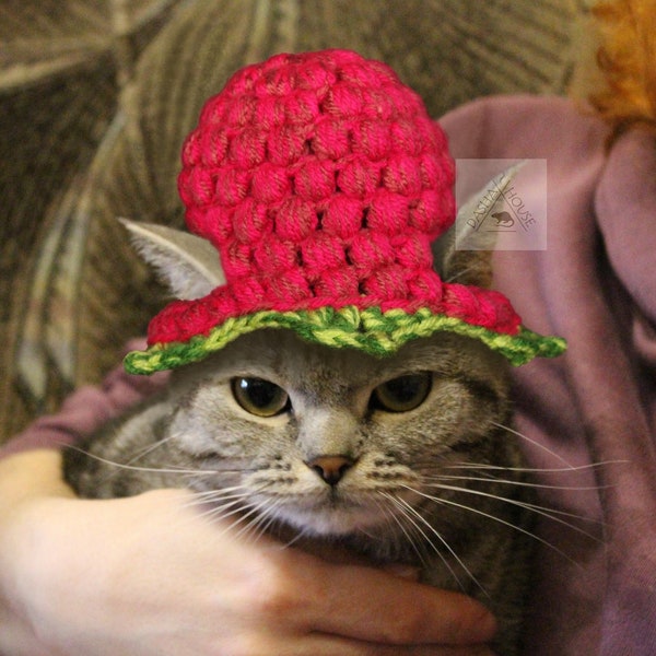 Raspberry Hat Cat Crochet Pattern/ Cute berry Hat for Cat, small Dog and others/ Summer berry hat cat DIY