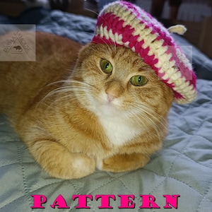 May include: An orange tabby cat wearing a pink and cream-colored crocheted beret. The cat has green eyes and is lying on a blue-gray surface. The word "PATTERN" is displayed in pink letters at the bottom of the image.