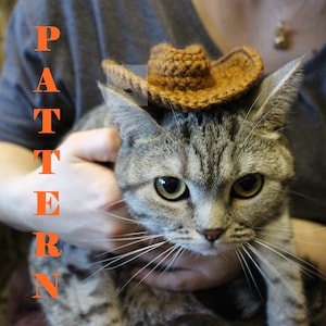 Puede incluir: Un gato atigrado con un peque&ntilde;o sombrero de vaquero de ganchillo marr&oacute;n. La palabra "PATTERN" est&aacute; escrita verticalmente en letras naranjas en el lado izquierdo de la imagen. El gato est&aacute; siendo sostenido por una persona.