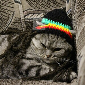 Crochet Pattern Cat Rasta Hat/ Small Dog Costume (PDF Download) image 2
