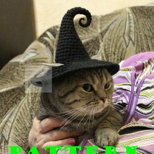 Witch Hat Crochet Pattern/ Cat & Dog Halloween Costume (PDF Download)