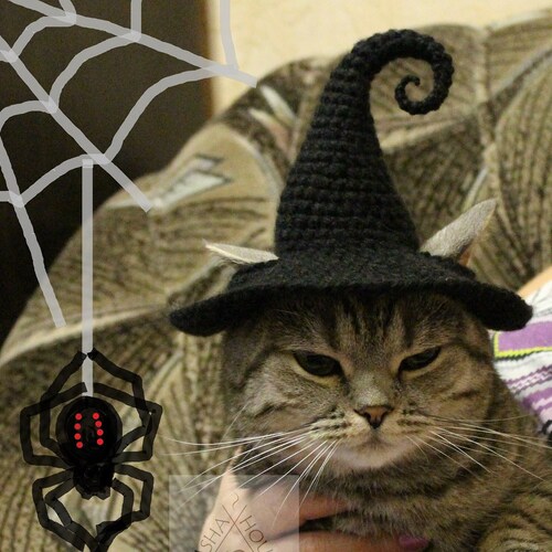 Witch Hat Cat Crochet Pattern Decoration/ Party Witch Hat for Etsy