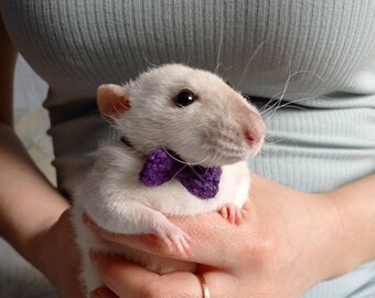 Pet Rat Clothes Etsy