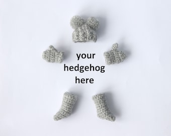 pet hedgehog accessories