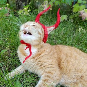 May include: A bright red crocheted headpiece featuring two tall, curved devil horns and ear openings, secured under the chin with matching red yarn ties. The accessory is worn by an orange tabby cat with white markings, showing its teeth.
