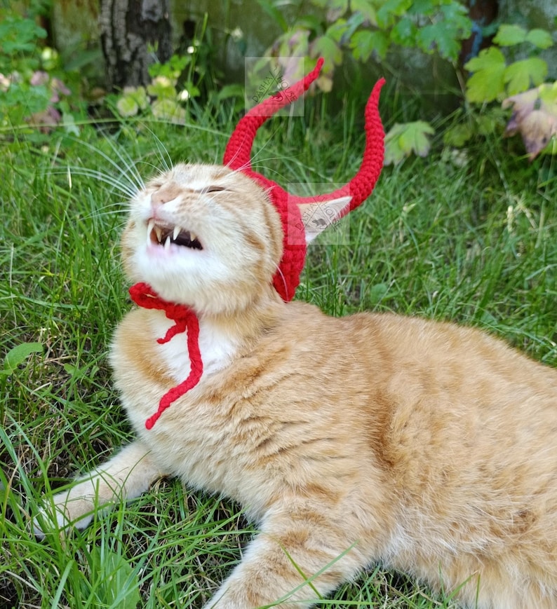 May include: A bright red crocheted headpiece featuring two tall, curved devil horns and ear openings, secured under the chin with matching red yarn ties. The accessory is worn by an orange tabby cat with white markings, showing its teeth.